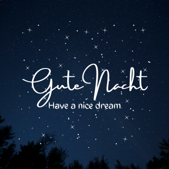 Resonanzfeld "Nachtruhe"