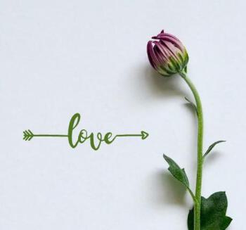 GRACE INTEGRITY® COSMIC VOICE HEALING "Perfect Imperfections"